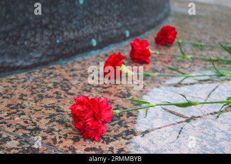 Red carnations lie on the granite slab of Unkown soldiers grave Stock ...