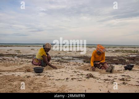 Group of woman from small African village in Mozambique at the shore of Indian ocean, collecting colorful stones and shells during low tide Stock Photo