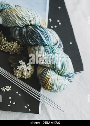 Skein of wool yarn and knitting needles for hand knitting. Concept for handmade. Stock Photo