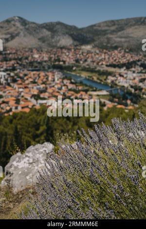 Amazing view of Trebinje city from the hill in a sunny day. Travel destination in Bosnia and Herzegovina. Stock Photo