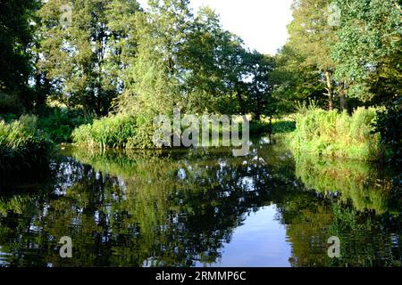 English village Water Mill and mill pond fed by a brook from open countryside. Stock Photo