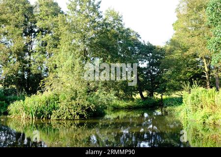 English village Water Mill and mill pond fed by a brook from open countryside. Stock Photo