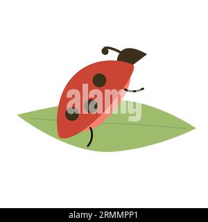 funny bug on a green leaf stands on its hind legs Stock Vector