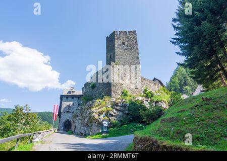 Ramingstein: Finstergrün Castle in Lungau, Salzburg, Austria Stock Photo