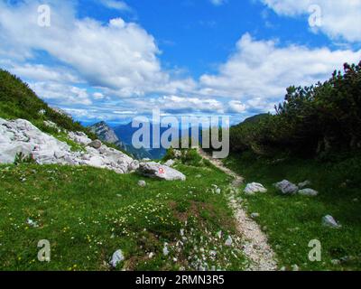 Scenic view of mountain Kepa in the Karavanke mountain range taken from above Pokljuka in Slovenia with a small meadow full of wild flowers in front i Stock Photo