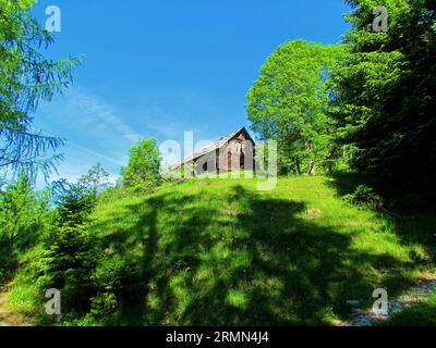 Wooden shabby hut above a bright meadow in Slovenia Stock Photo