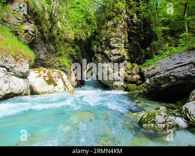 Kamniska Bistrica river in Slovenia flowing from Predaselj gorge under a naturly formed tunnel Stock Photo
