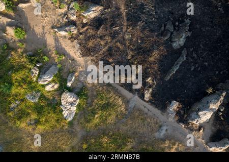 Aerial View of Burned Trees after the Forest Fire in Sequoia National ...