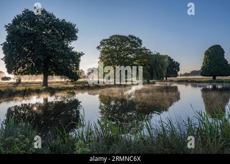 Atmospheric misty morning walk around Bushy Park ponds in late August Stock Photo