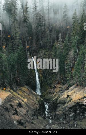 Waterfall in Fall time in PNW Stock Photo