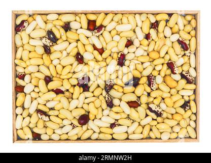 raw colorful beans, close up Stock Photo