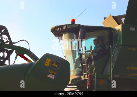 Combine operator commences another row to harvest the wheat crop in a Buckinghamshire field as evening light decends, August 2023. Stock Photo
