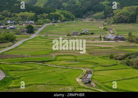 Japan, Kyushu. View of Farmland by Tashibu-no-sho Village, Kunisaki Peninsula, Oita Prefecture. Rice Paddies not yet Planted. Stock Photo