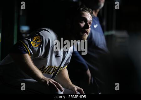 Milwaukee Brewers' William Contreras watches a teammate catch