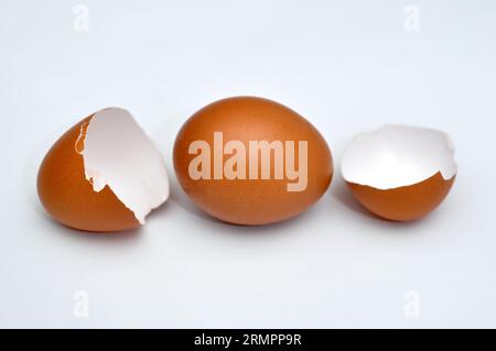 Selective Focus of round chicken eggs and broken eggs white background Stock Photo