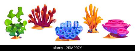 Cartoon set of seaweeds isolated on white background. Vector illustration of underwater plants and corals, sea or ocean flora, aquatic bottom design elements with green, pink, yellow, blue leaves Stock Vector