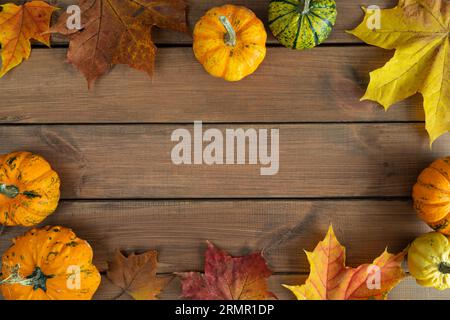 Autumn flat lay rustic composition frame for Thanksgiving or Halloween. Gourds, pumpkins, squash types on fall leaves, copy space on wooden background Stock Photo