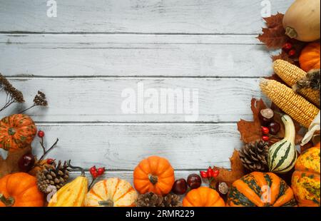 Pumpkins, cones, chestnuts, corn on the cob and autumn leaves. Fall flat lay composition frame, with copy space on white wooden background. Stock Photo