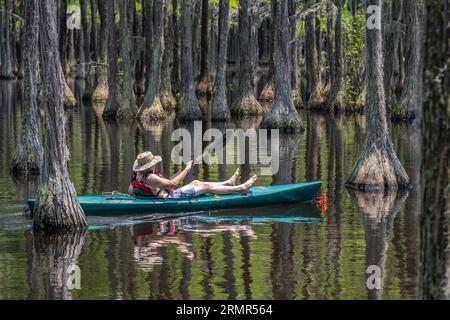 Senior kayaker paddling through a submerged Cypress forest at George Smith State Park in Twin City, Georgia. (USA) Stock Photo