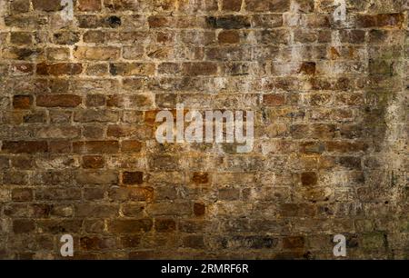 Texture of an old brick wall in a warm and very textured tone. Stock Photo