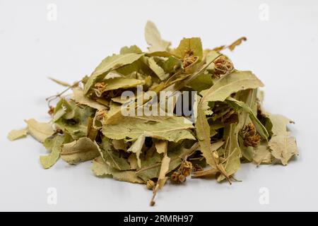 Dried linden flowers. Fresh flowers and leaves of linden isolated on white background. herbal medicine Stock Photo
