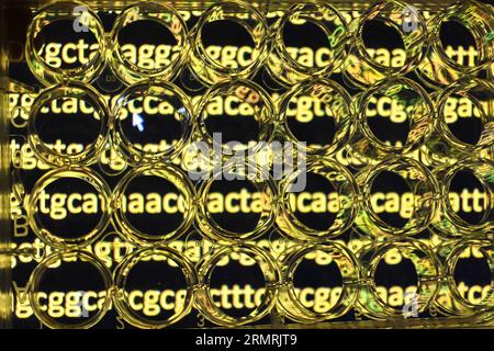 Abstract background. Scientific biological research. Cultural tablet against the background of biological objects of research. Stock Photo
