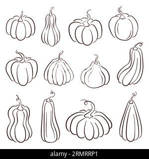Set of various hand drawn pumpkin in line art style. Autumn sketch for Halloween, Thanksgiving design elements. Vector illustration isolated on a Stock Vector