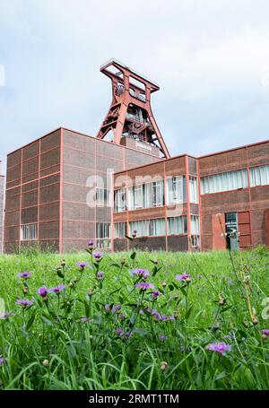 (230830) -- FRANKFURT, Aug. 30, 2023 (Xinhua) -- This photo taken on Aug. 16, 2023 shows a view of the Zollverein coal mine industrial complex in Essen, Germany.  From the Ruhr area in Germany to the Shougang industrial park in Beijing, one after another steel 'giants' stand as witnesses to the development process of human civilization.     The Ruhr area in Germany is a significant industrial zone in Europe, once a coal and steel production hub for Germany. The Zollverein coal mine industrial complex in Essen was one of the world's largest coal mines from the late 19th to the early 20th centur Stock Photo