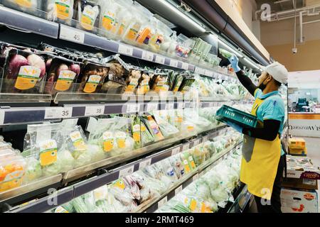 Bangkok, Thailand - September 2, 2023 : asian young man working as shop assistant and restocking fresh organic vegetables in boxes at fruit and vegeta Stock Photo