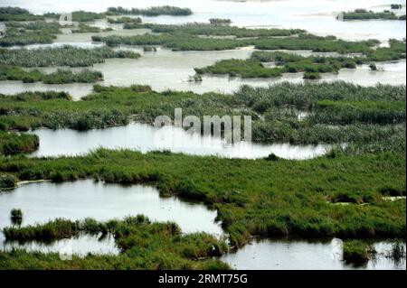 https://l450v.alamy.com/450v/2rmt75g/photo-taken-on-aug-20-2014-shows-the-scenery-of-longfeng-wetland-natural-reserve-in-daqing-city-northeast-china-s-heilongjiang-province-yxb-china-heilongjiang-longfeng-wetlandcn-wangxsong-publicationxnotxinxchn-photo-taken-on-aug-20-2014-shows-the-scenery-of-long-feng-wetland-natural-reserve-in-daqing-city-northeast-china-s-heilongjiang-province-china-heilongjiang-long-feng-wetland-cn-publicationxnotxinxchn-2rmt75g.jpg