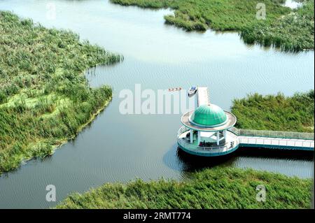 Photo taken on Aug. 20, 2014 shows the scenery of Longfeng wetland natural reserve in Daqing City, northeast China s Heilongjiang Province. ) (yxb) CHINA-HEILONGJIANG-LONGFENG WETLAND(CN) WangxSong PUBLICATIONxNOTxINxCHN   Photo Taken ON Aug 20 2014 Shows The scenery of Long Feng Wetland Natural Reserve in Daqing City Northeast China S Heilongjiang Province  China Heilongjiang Long Feng Wetland CN  PUBLICATIONxNOTxINxCHN Stock Photo