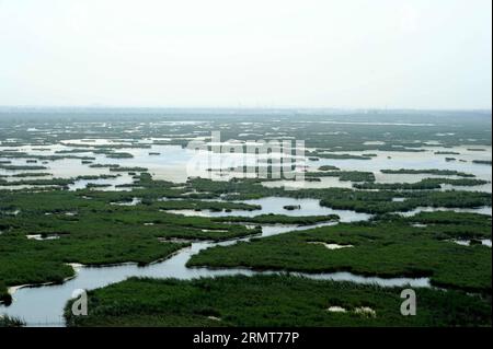 Photo taken on Aug. 20, 2014 shows the scenery of Longfeng wetland natural reserve in Daqing City, northeast China s Heilongjiang Province. ) (yxb) CHINA-HEILONGJIANG-LONGFENG WETLAND(CN) WangxSong PUBLICATIONxNOTxINxCHN   Photo Taken ON Aug 20 2014 Shows The scenery of Long Feng Wetland Natural Reserve in Daqing City Northeast China S Heilongjiang Province  China Heilongjiang Long Feng Wetland CN  PUBLICATIONxNOTxINxCHN Stock Photo