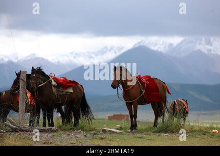 (140825) -- ZHANGYE, Aug. 25, 2014 -- Horses are seen at the Shandan Horse Ranch in Zhangye City, northwest China s Gansu Province, Aug. 23, 2014. The Shandan Horse Ranch, which locates in the Qilian Mountain s Damayin pastureland, covers an area of 219,693 hectares. The history of the ranch can be traced back to 121 B.C. when famous Chinese general Huo Qubing established the ranch specially to herd horses for the army of China. Since then, the ranch, which was well-known for the Shandan horse hybrids, has therefore been the base of the military and royal horses through several dynasties in th Stock Photo