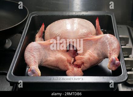 Uncooked Raw Whole Chicken in a Metal Baking Tray Stock Photo