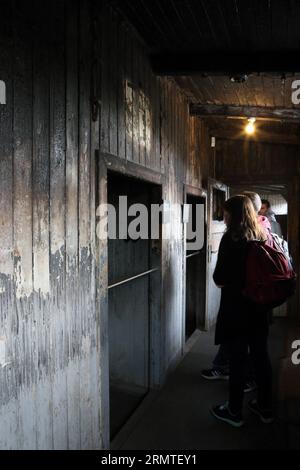 (140901) -- FRANKFURT (GERMANY), Sept. 1, 2014 -- People visit the barracks at the site of former Sachsenhausen Nazi concentration camp in Oranienburg, near Berlin, Germany, on Aug. 21, 2014. The Sachsenhausen Nazi concentration camp was built in Oranienburg about 35 km north of Berlin in 1936 and imprisoned about 220,000 people between 1936 and 1945. The site now served as a memorial and museum to learn about the history within the authentic surroundings, including the remnants of buildings and other relics of the camp. ) GERMANY-SACHSENHAUSEN CONCENTRATION CAMP luoxhuanhuan PUBLICATIONxNOTxI Stock Photo