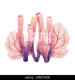 Underwater composition with coral reef plants. Watercolor illustration isolated on white for clip art, cards, labels Stock Photo