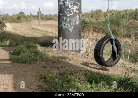 Tyre rope swing Stock Photo