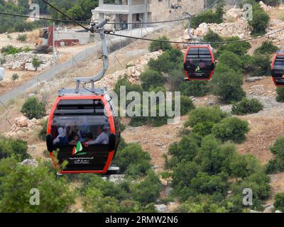 A journey in the green forests of Ajloun in Jordan, from inside the ...