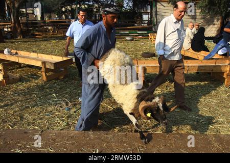 (141004) -- CAIRO, Oct. 4, 2014 -- An Egyptian man leads a sheep at a livestock market in Cairo, Egypt, on Oct. 4, 2014. Muslims celebrate Eid al-Adha, also known as the Corban Festival which falls on the 10th day of the 12th month of the Islamic calendar, to mark the end of the hajj and commemorate Prophet Abraham s willingness to sacrifice his son Ismail on God s command. ) EGYPT-CAIRO-EID-EL-ADHA AhmedxGomaa PUBLICATIONxNOTxINxCHN   Cairo OCT 4 2014 to Egyptian Man leads a Sheep AT a Livestock Market in Cairo Egypt ON OCT 4 2014 Muslims Celebrate Oath Al Adha Thus known As The Corban Festiv Stock Photo