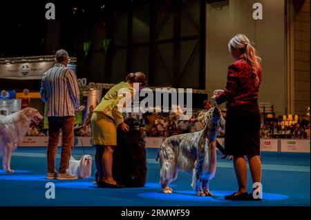 Geneva, Geneva Canton, Switzerland - 27 August, 2023: Handler presenting dog during World dog show. Stock Photo