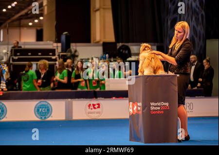 Geneva, Geneva Canton, Switzerland - 27 August, 2023: Handler presenting dog during World dog show. Stock Photo