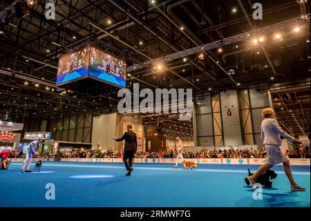 Geneva, Geneva Canton, Switzerland - 27 August, 2023: Handler presenting dog during World dog show. Stock Photo