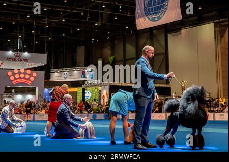 Geneva, Geneva Canton, Switzerland - 27 August, 2023: Handler presenting dog during World dog show. Stock Photo