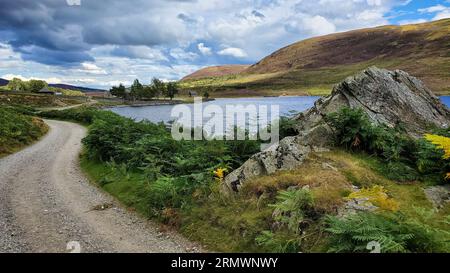A closeup of a tranquil, winding pathway near the  lake Loch Lee in Scotland Stock Photo