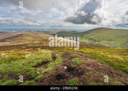 The Cheviot Hills, Northumberland - view east across Harthope Valley on footpath to The Cheviot Stock Photo