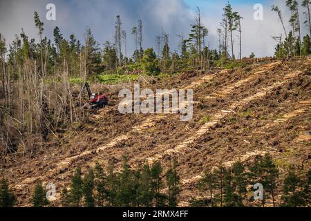A tree felling machine clears a hillside forestry commission ...