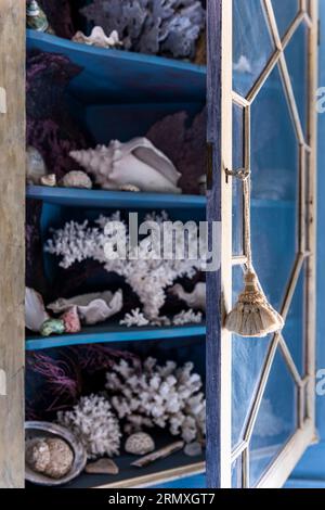Coral and seashells in glass fronted cabinet. 18th century flower loft conversion near Penzance in Cornwall, UK Stock Photo