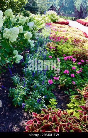 Display of geraniums, coleus and hydrangea at Cleveland Botanical ...