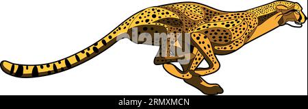 African cheetah running Creative illustration isolated on transparent background. Vector graphic. Stock Vector