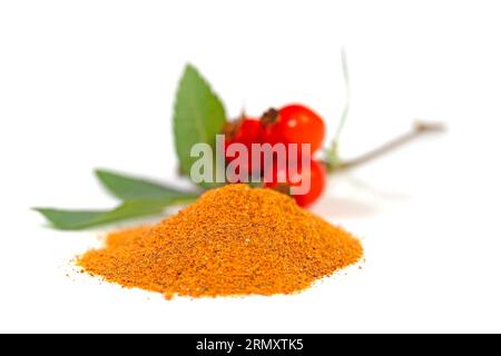 Rosehip powder against white background Stock Photo